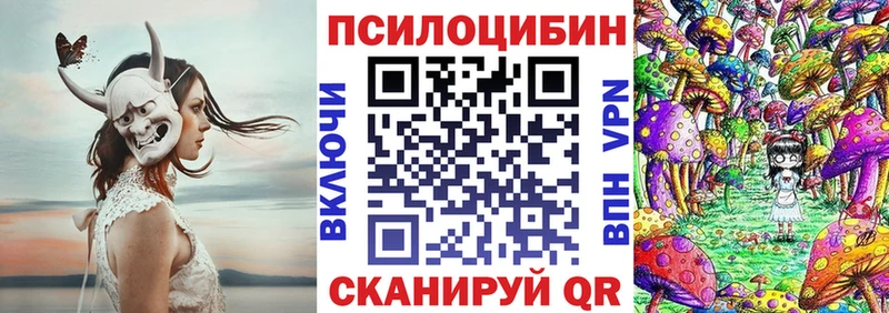 цена   Лобня  блэк спрут онион  Галлюциногенные грибы Psilocybine cubensis 